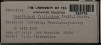 Image Associated With the Occurence